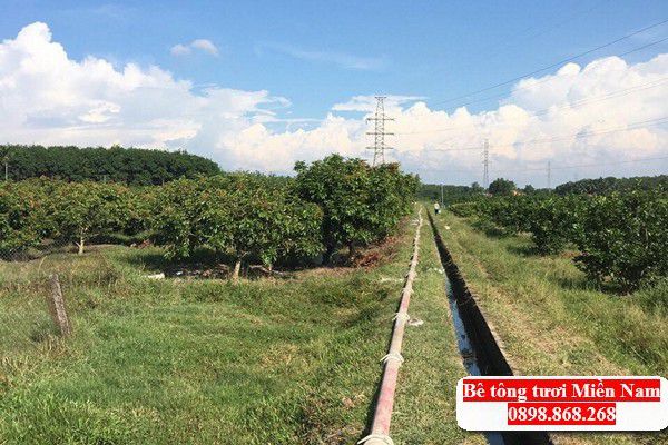 be-tong-tuoi-hon-quan