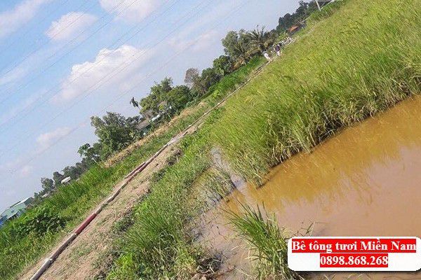 be-tong-tuoi-xa-can-thanh