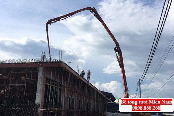 gia-be-tong-tuoi-dong-phu