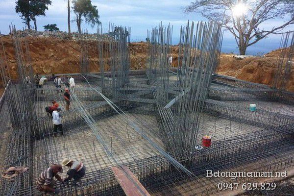 gia-be-tong-tuoi-tai-chau-pha