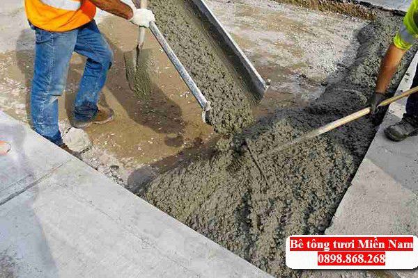 gia-be-tong-tuoi-tay-ninh-tai-huyen-tan-bien